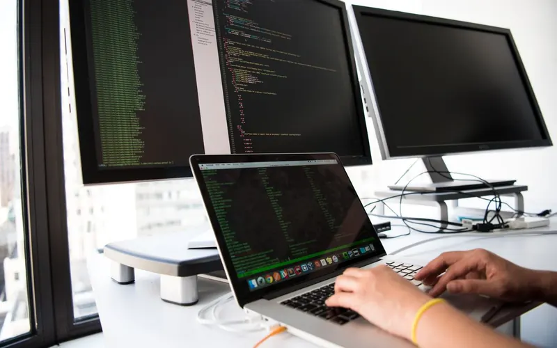 Website development